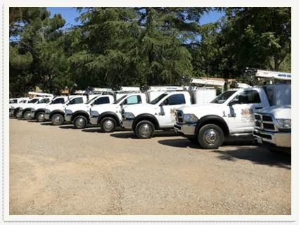 utility trucks lined up